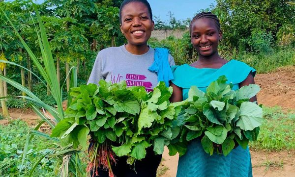 Her-Economy Her-Economy